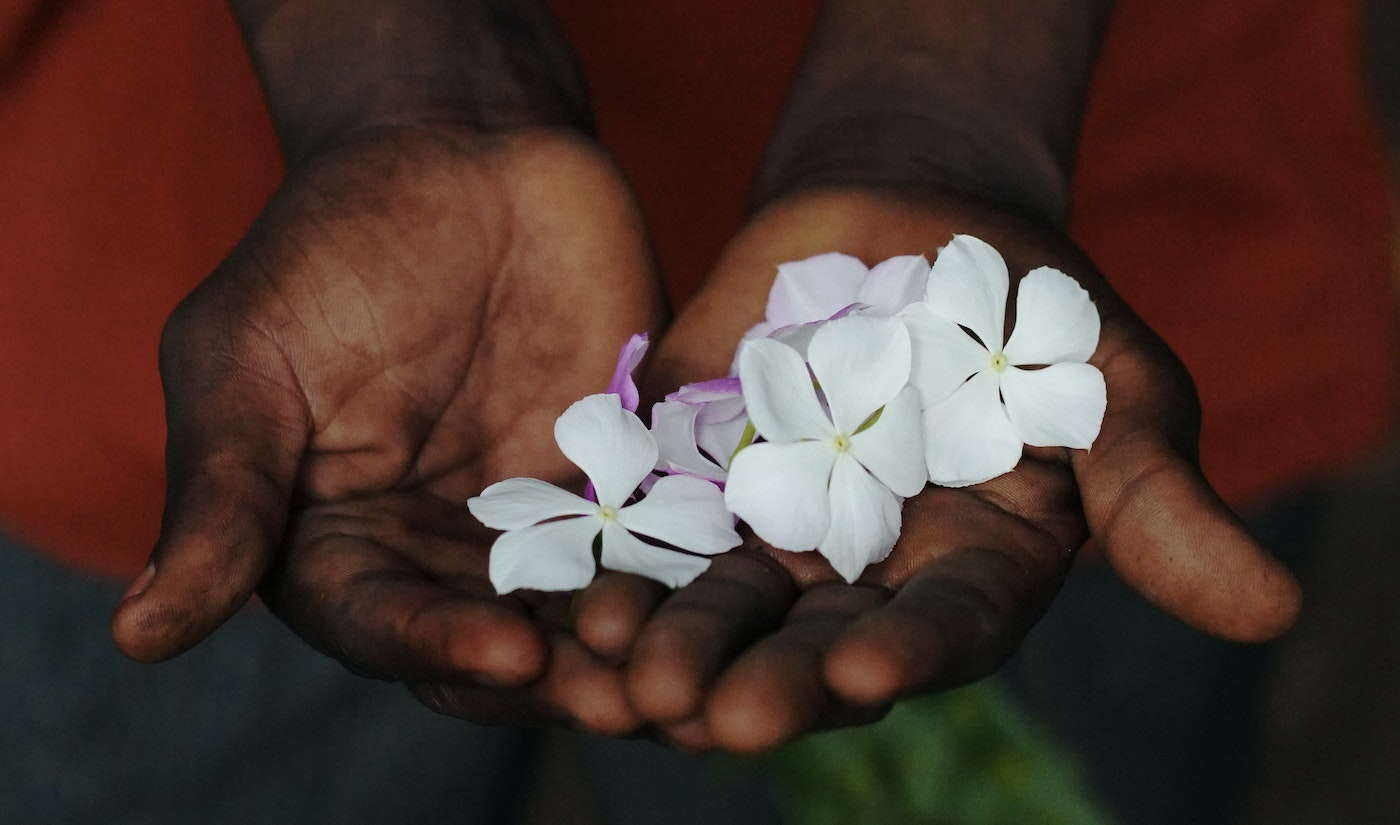 Zanzibar Experts Nahaufnahme einer Person, die Blumen in ihre Palmen steckt