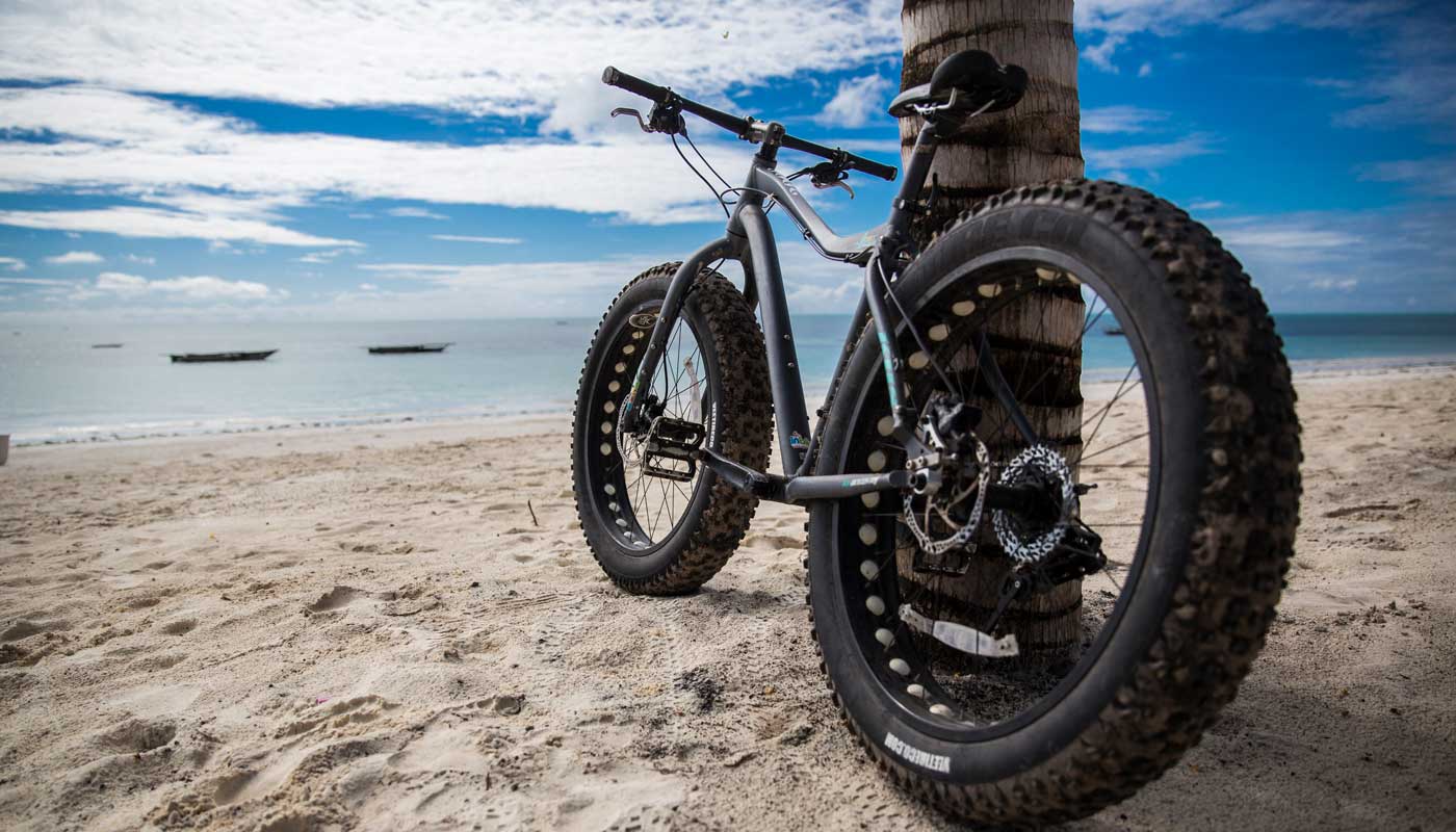Zanzibar Experts Fahrrad, das an einer Kokospalme am Strand lehnt